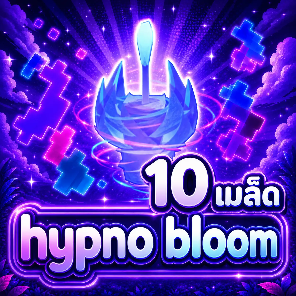 เมล็ด hypno bloom 10เมล็ด